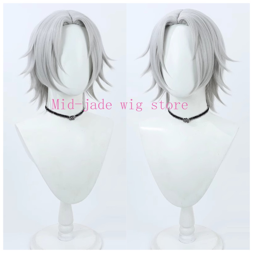 Hayato Gokudera Cosplay Wig Si - Photography Japanese recension och pris