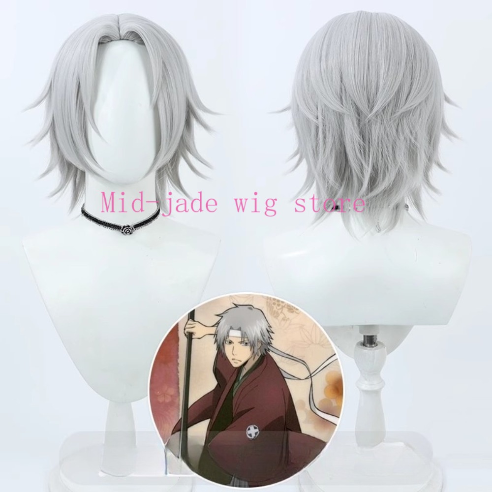 Hayato Gokudera Cosplay Wig Si - Photography Japanese recension och pris