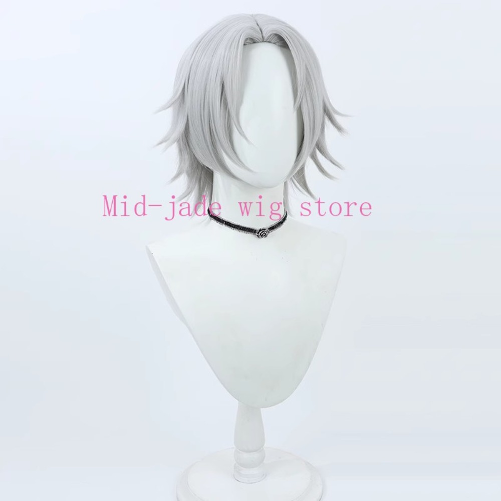 Hayato Gokudera Cosplay Wig Si - Photography Japanese recension och pris