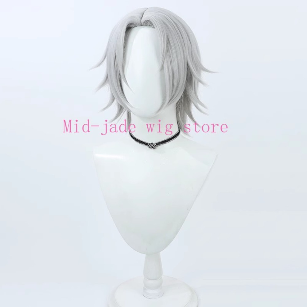 Hayato Gokudera Cosplay Wig Si - Photography Japanese recension och pris